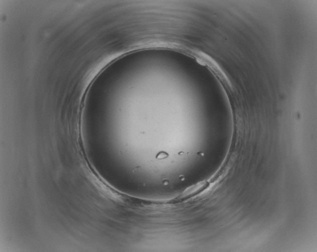 X0000072551244200607211351