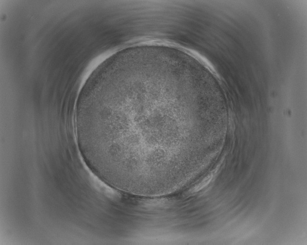 X0000072551247200607211351