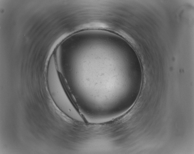 X0000072551248200607211351