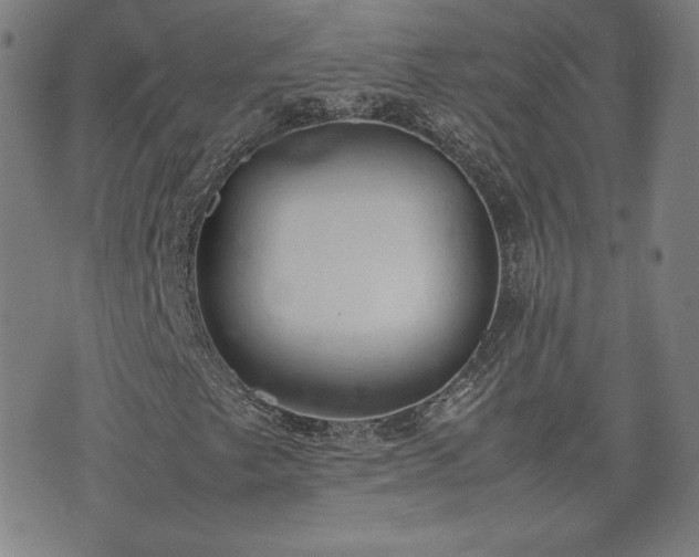 X0000072551249200607211350