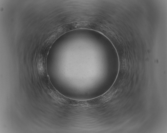 X0000072551250200607211350