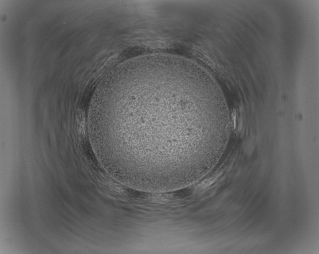 X0000072551251200607211350