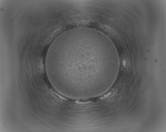 X0000072551252200607211350