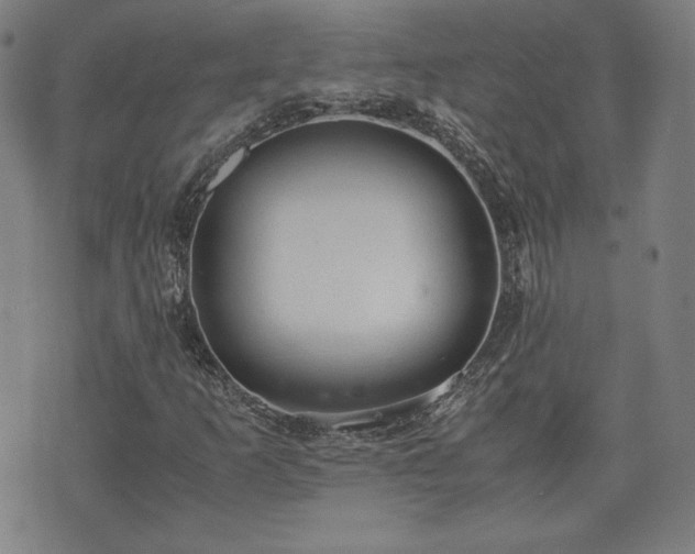 X0000072551253200607211350