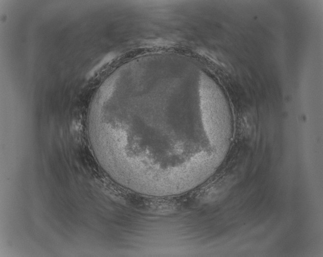 X0000072551254200607211350