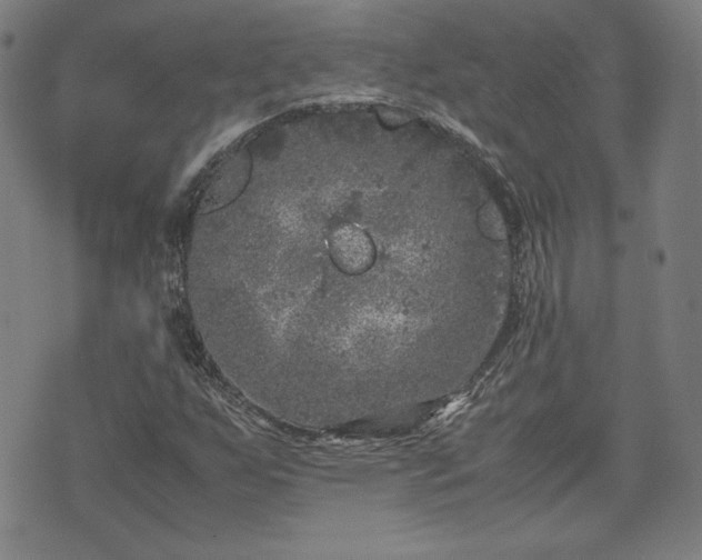 X0000072551255200607211350