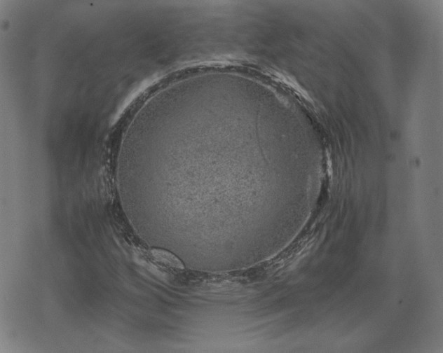 X0000072551256200607211350