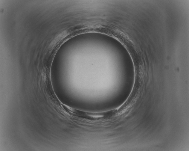 X0000072551257200607211350