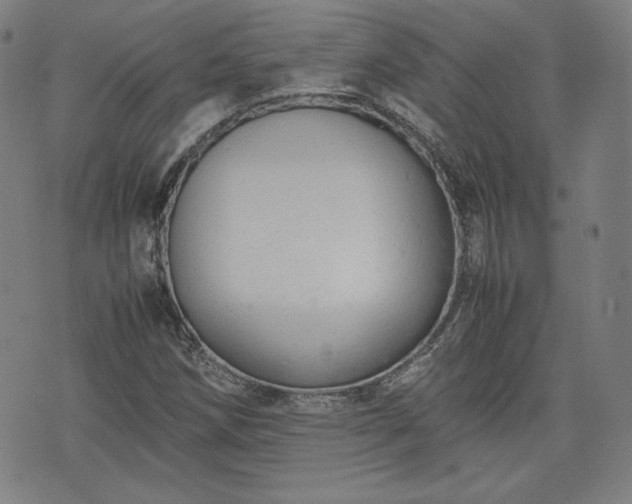 X0000072551258200607211350