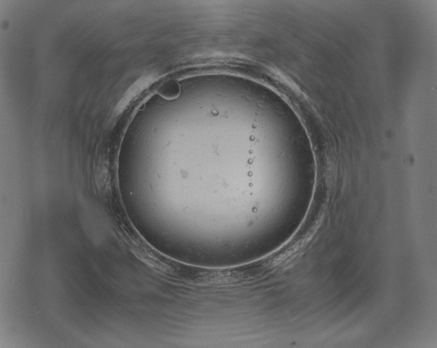 X0000072551259200607211350