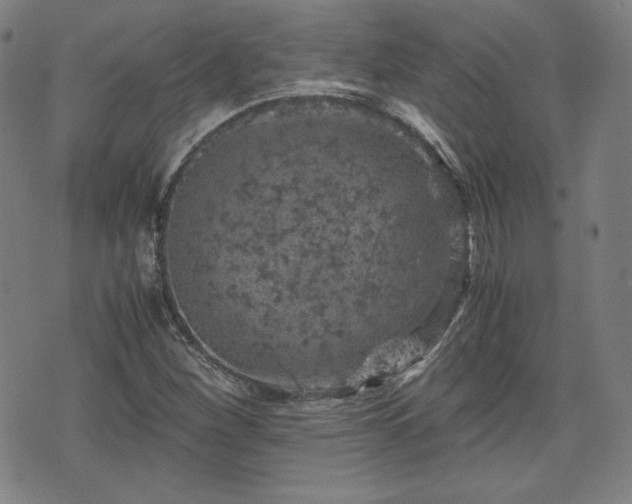 X0000072551260200607211350