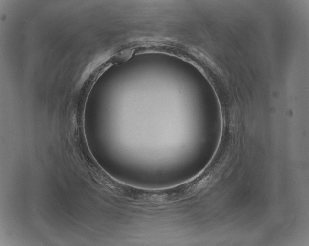 X0000072551261200607211350