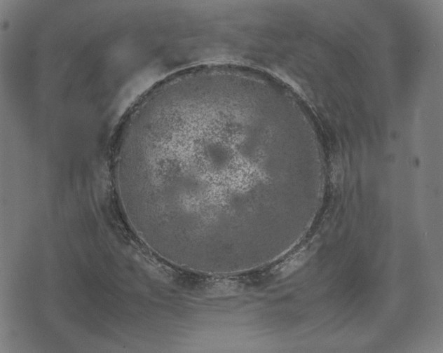 X0000072551263200607211350