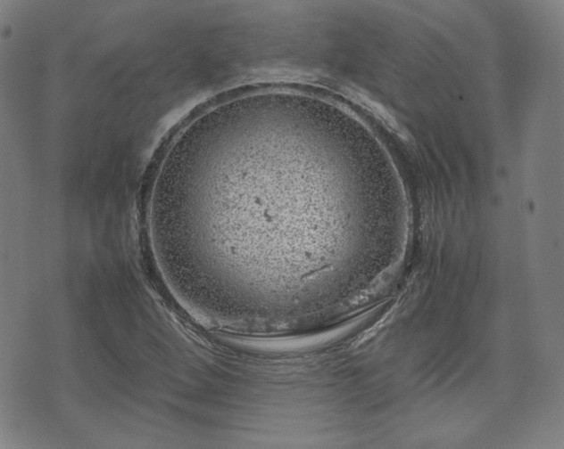 X0000072551264200607211350