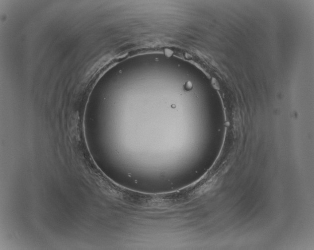 X0000072551265200607211350