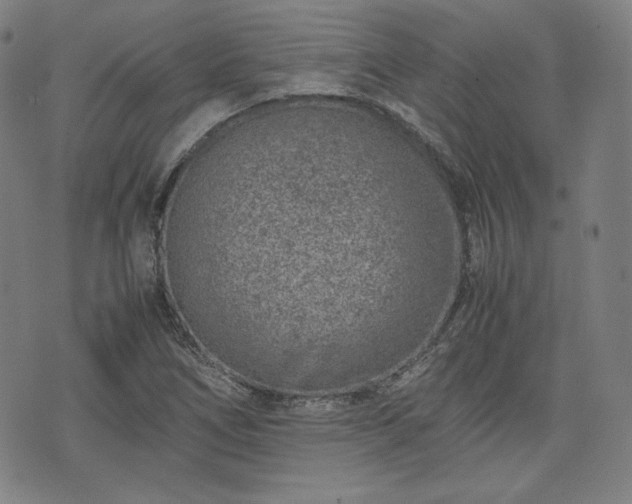 X0000072551266200607211350