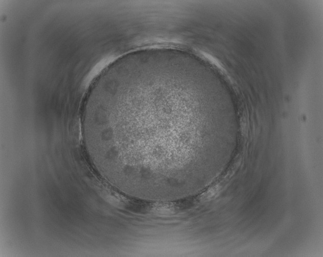 X0000072551267200607211350