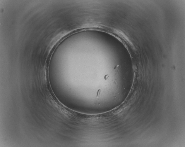 X0000072551268200607211350