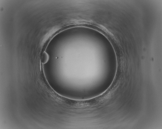 X0000072551269200607211350