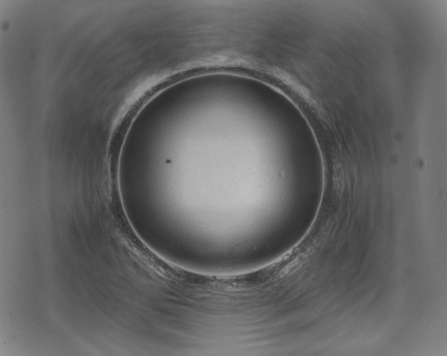 X0000072551270200607211350