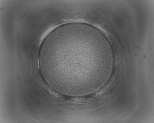 X0000072551271200607211350