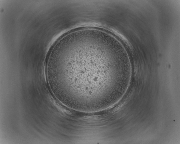 X0000072551272200607211350