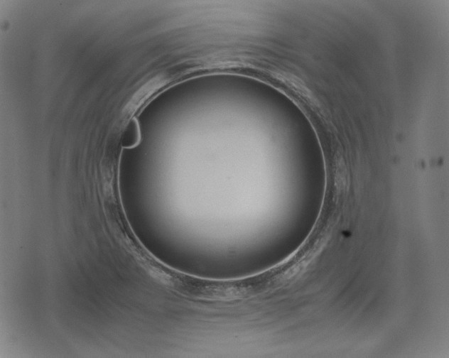 X0000072551273200607211350