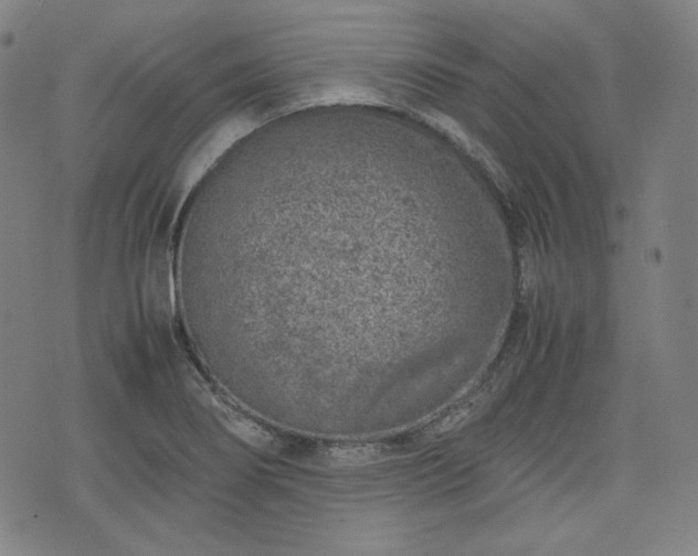 X0000072551274200607211350