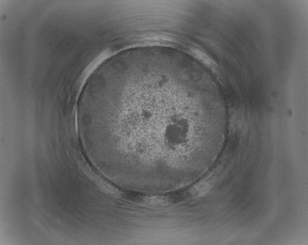 X0000072551275200607211350