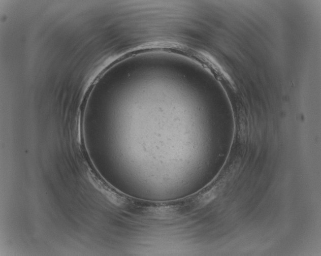 X0000072551276200607211350