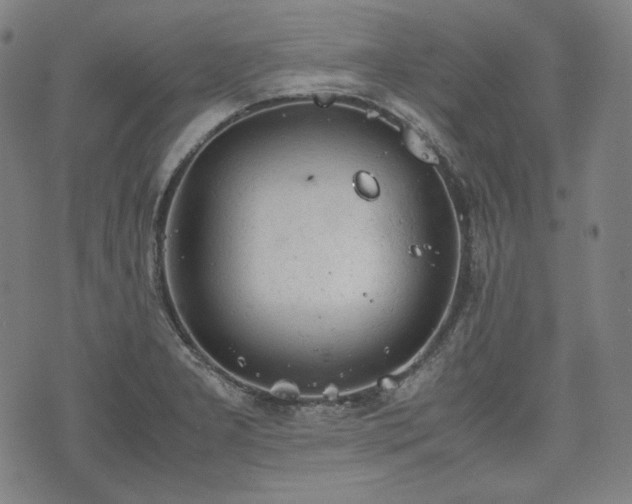 X0000072551277200607211350