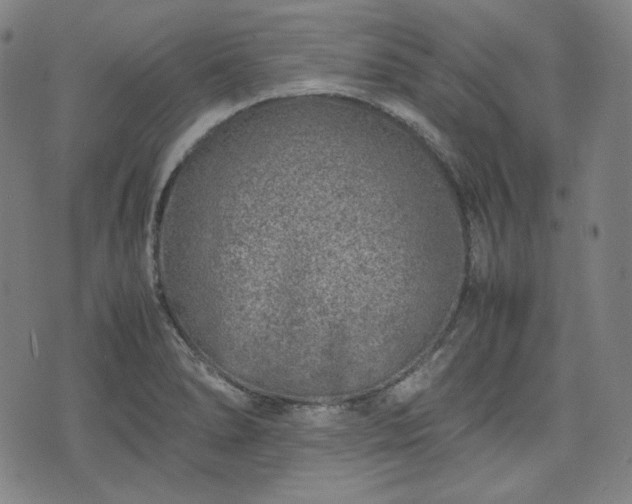 X0000072551278200607211350