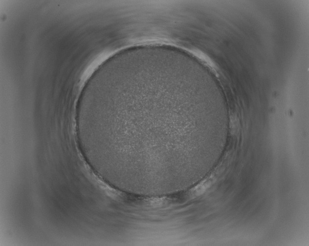 X0000072551279200607211350