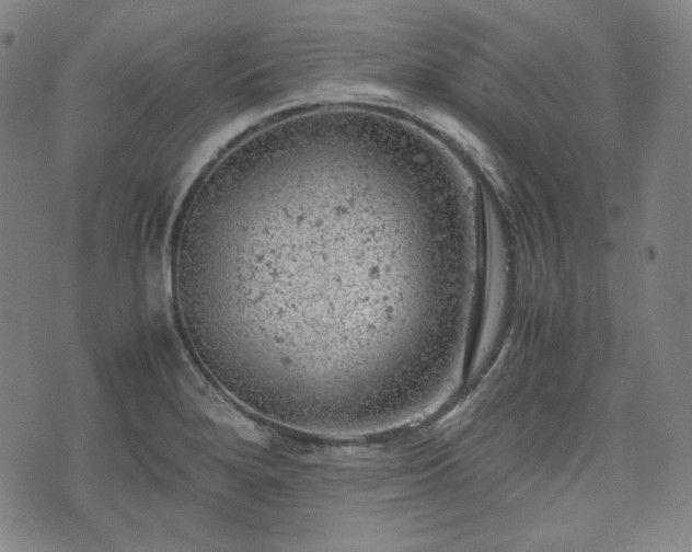 X0000072551280200607211350