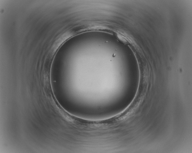 X0000072551281200607211350