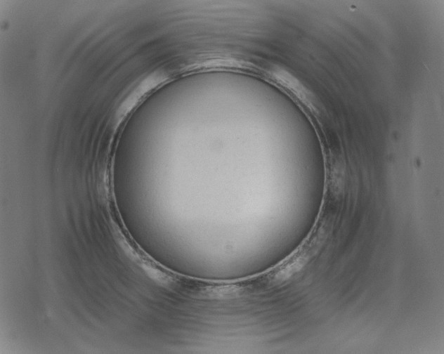 X0000072551282200607211350