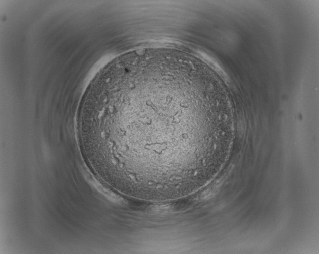 X0000072551283200607211350