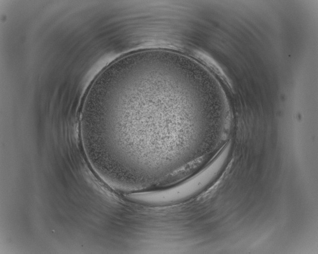 X0000072551284200607211350