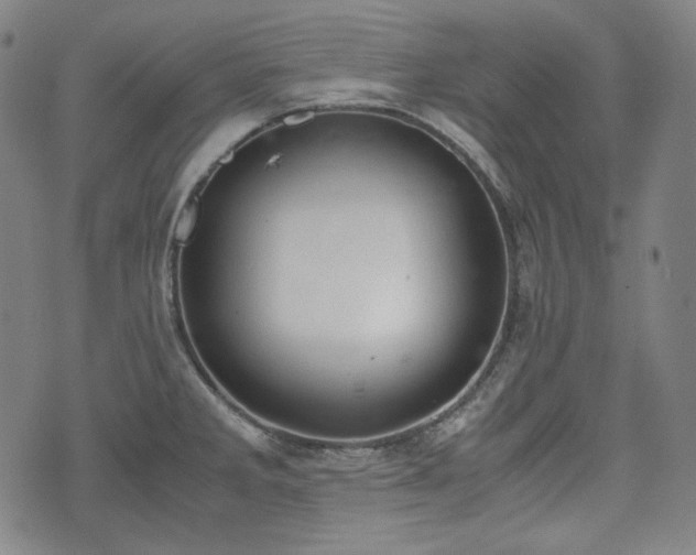 X0000072551285200607211350