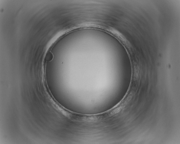 X0000072551286200607211350