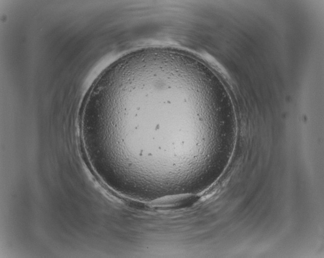 X0000072551287200607211350