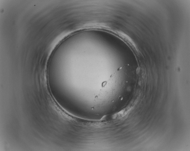 X0000072551288200607211350