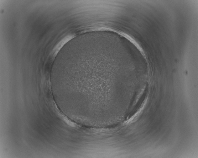 X0000072551289200607211350