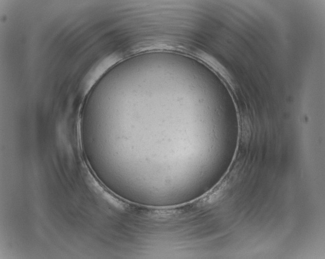 X0000072551290200607211350