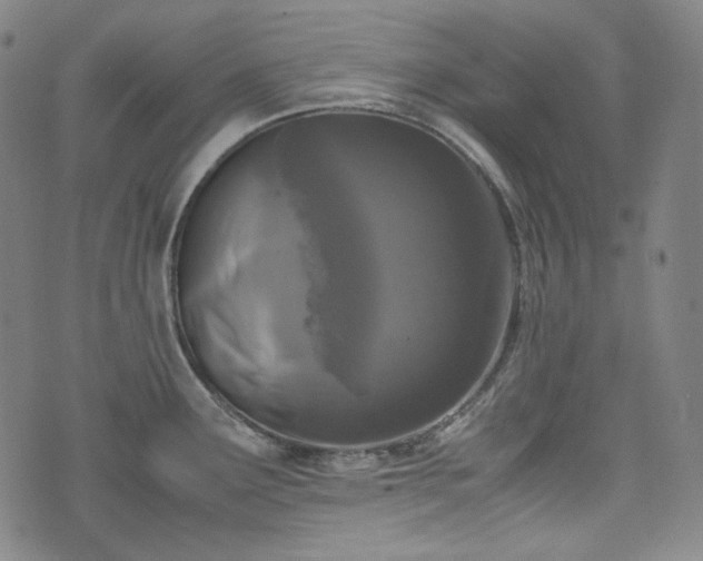 X0000072551291200607211350