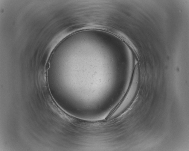 X0000072551292200607211350