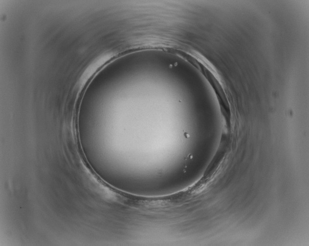 X0000072551293200607211350