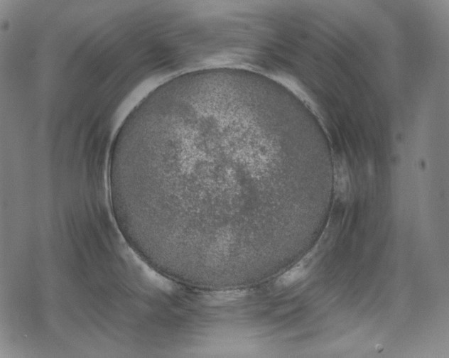 X0000072551294200607211350