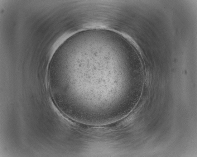 X0000072551295200607211350