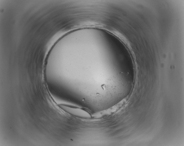 X0000072551296200607211350